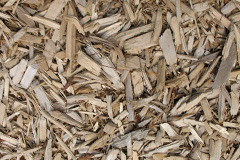 biomass boilers Osgathorpe